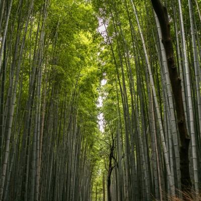 舰指太平洋无限弹药版下载